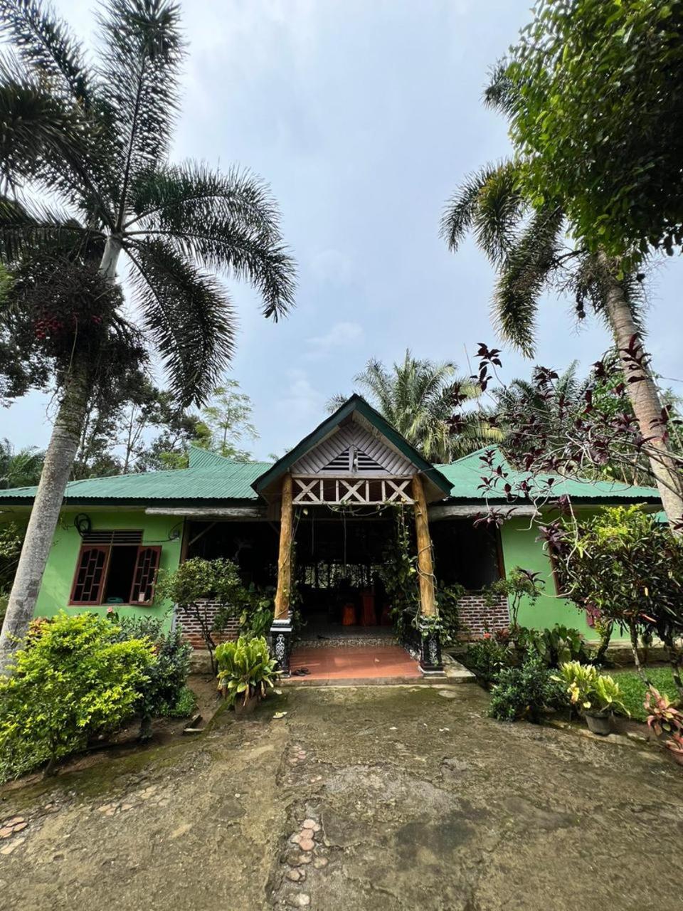 Wisma Batu Mandi Bukit Lawang Eksteriør bilde