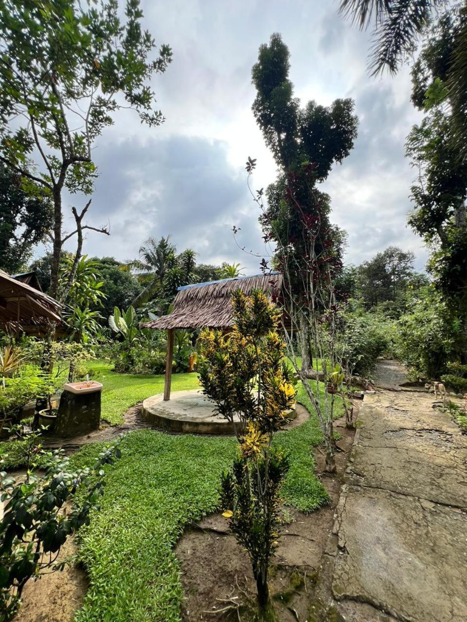 Wisma Batu Mandi Bukit Lawang Eksteriør bilde