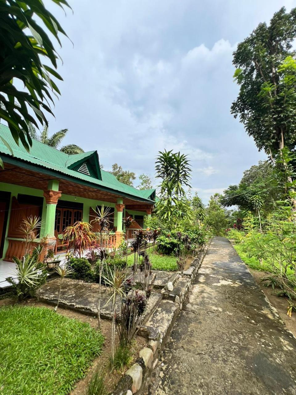 Wisma Batu Mandi Bukit Lawang Eksteriør bilde