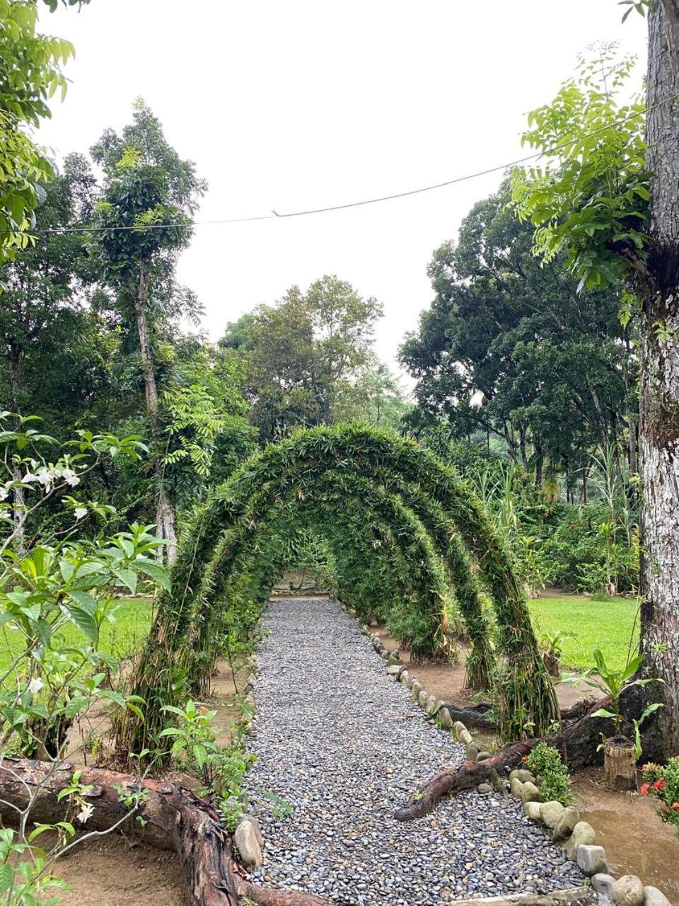 Wisma Batu Mandi Bukit Lawang Eksteriør bilde