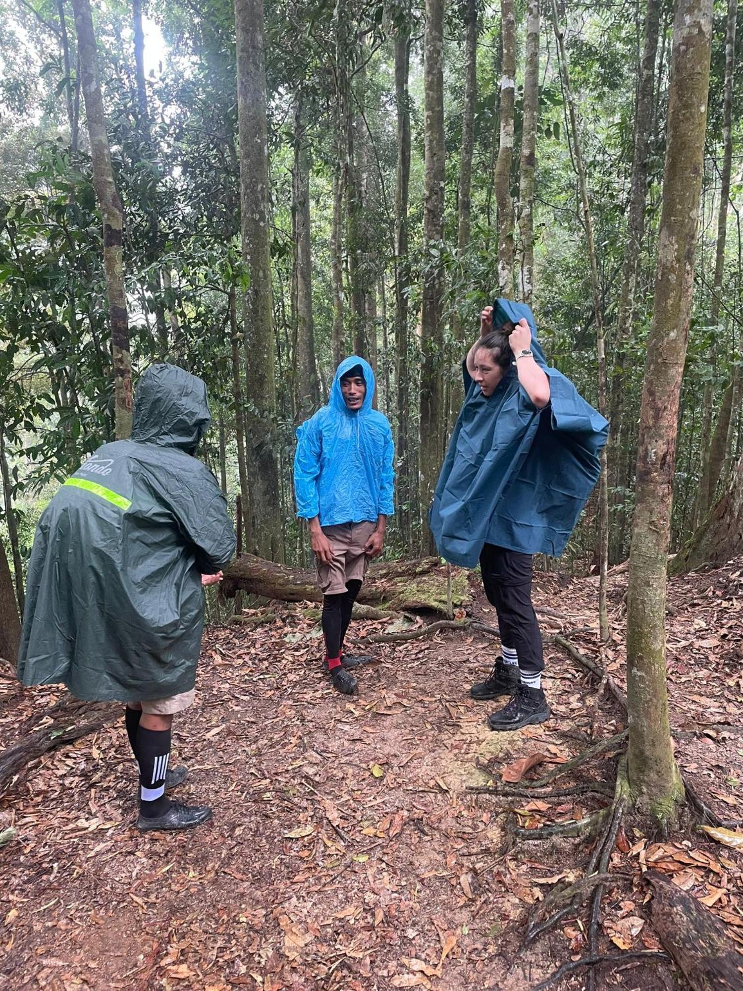 Wisma Batu Mandi Bukit Lawang Eksteriør bilde