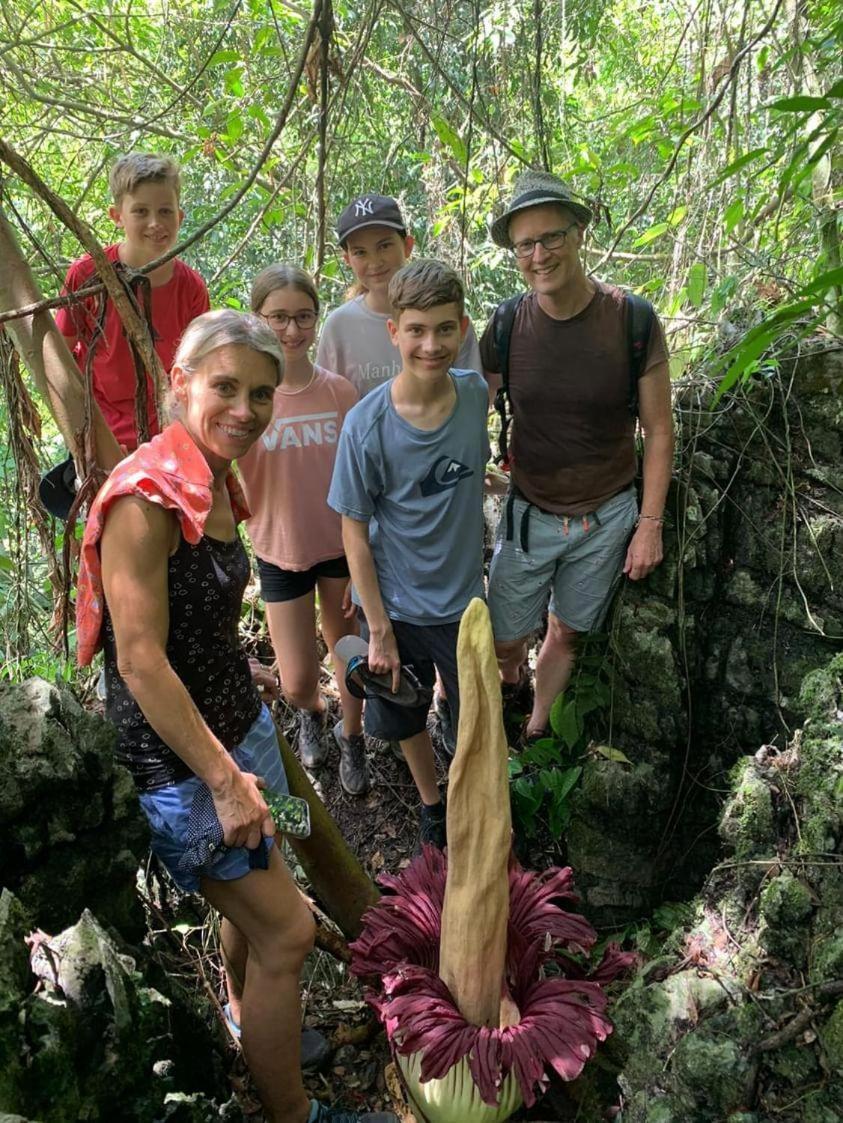 Wisma Batu Mandi Bukit Lawang Eksteriør bilde