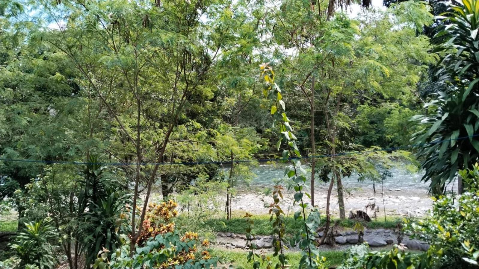 Wisma Batu Mandi Bukit Lawang Eksteriør bilde