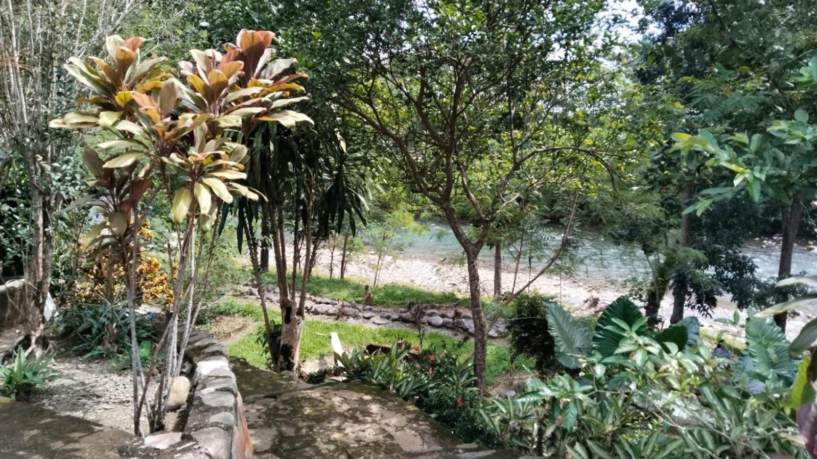 Wisma Batu Mandi Bukit Lawang Eksteriør bilde
